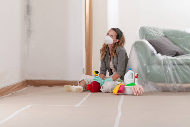Reliable Mold Remediation contractor in Chelsea, MI by WQB Mold Removal